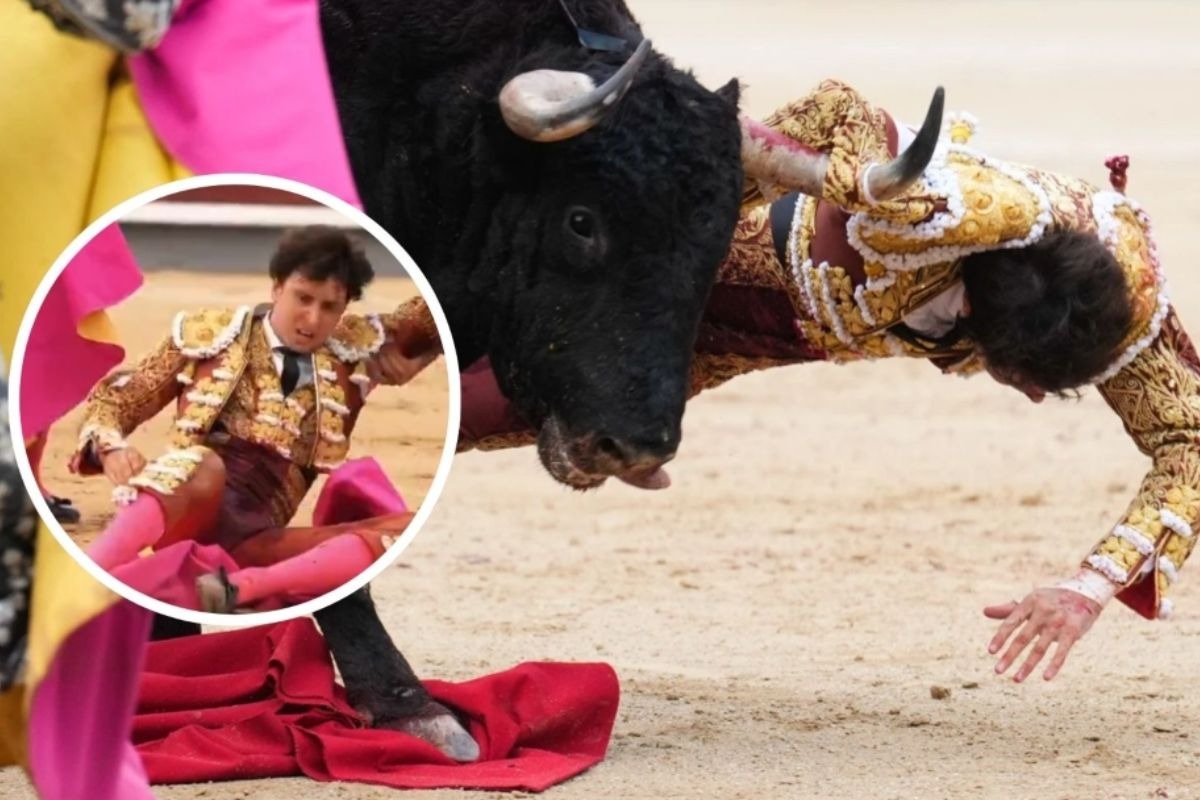 Andrés Roca Rey: Torero peruano grave tras sufrir escalofriante cornada ...