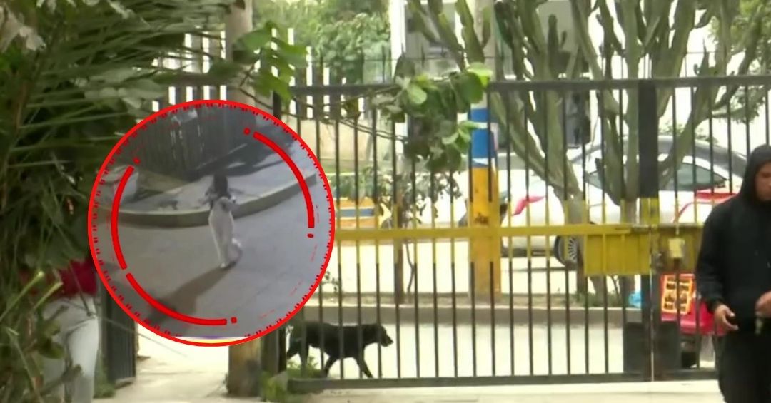 Joven defiende a su enamorada de un delincuente en Villa El Salvador