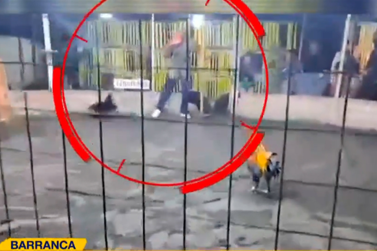 Hombre muere tras ser atacado por gallo de pelea en un evento