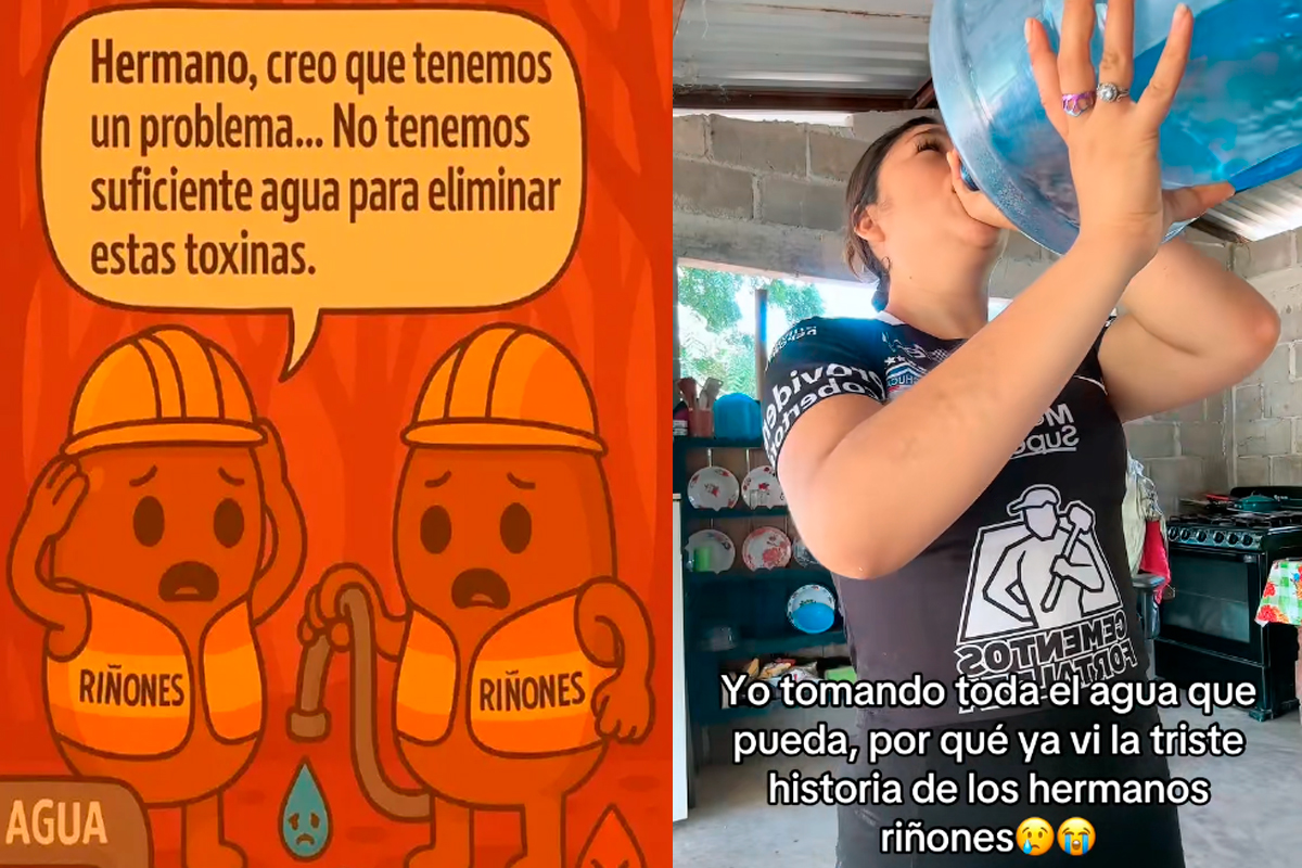 Los hermanos riñones nos necesitan: Conoce los hábitos y recomendaciones para prevenir enfermedades renales