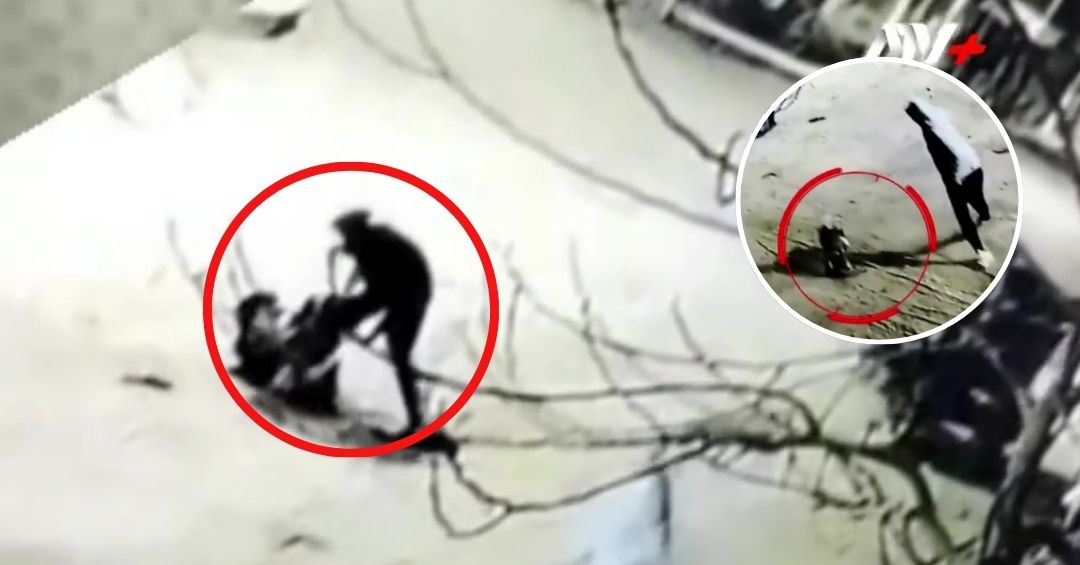 Perrito se convierte en héroe y ahuyenta a ladrones que asaltaban a un joven