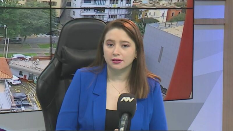 Silvia Guevara, analista política, durante entrevista sobre el voto de peruanos en el extranjero
