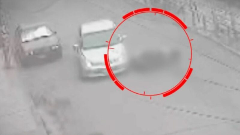Cámaras de seguridad captaron el accidente de un motociclista en sentido contrario en la avenida Los Héroes, San Juan de Miraflores