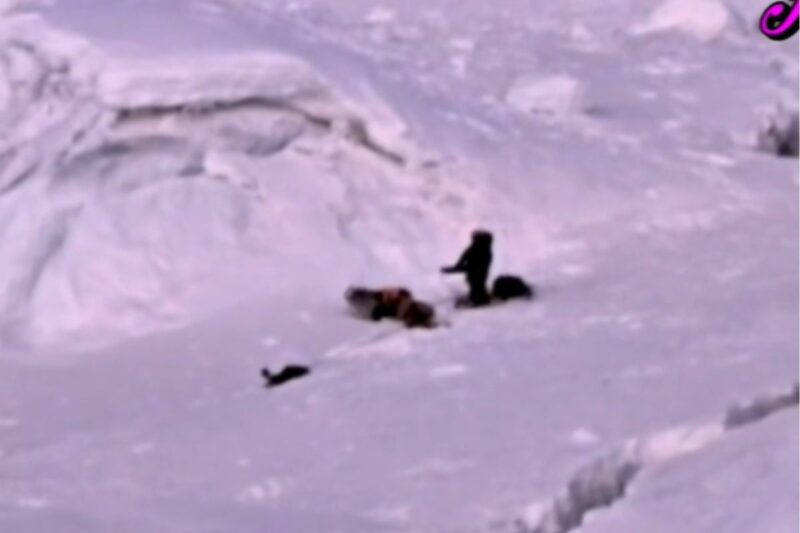 Terror en el Huascarán: tres turistas fueron alcanzados por una avalancha