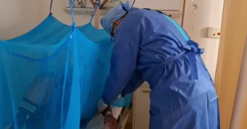 Los casos de dengue en Perú aumentaron un 31%, con 38,800 casos y 42 muertes. Piura y Lima lideran las cifras. Especialistas advierten por El Niño.