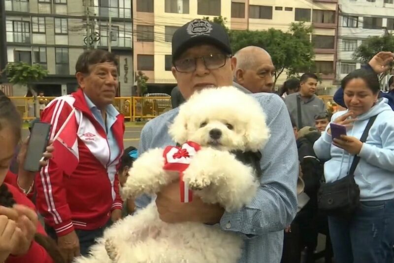 Familias llevaron a sus mascotas ¡con escarapela incluida! a la Gran Parada Militar