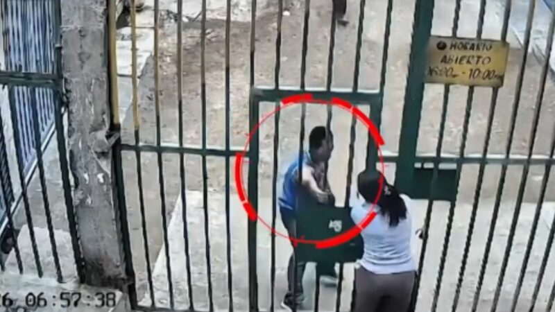 Mujer cerrando reja de salida para frustrar la fuga de un ladrón en Ate