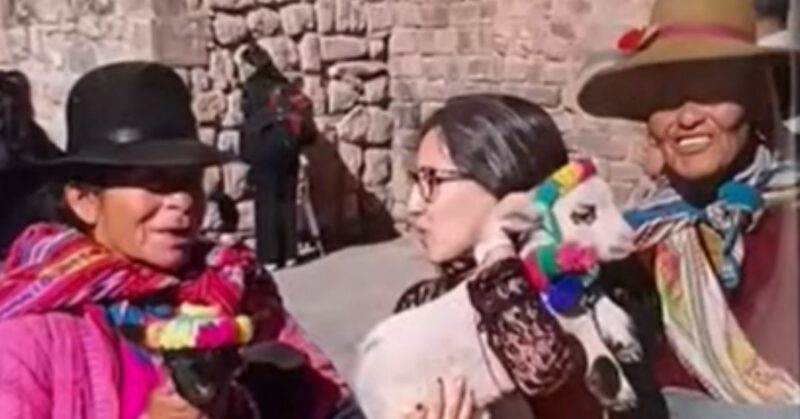 Turista ecuatoriana denuncia que le cobraron S/ 50 por tomarse una foto con una alpaca en Cusco