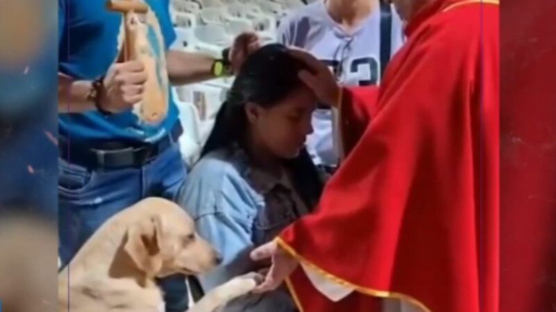 Perro levanta su pata junto a un sacerdote.