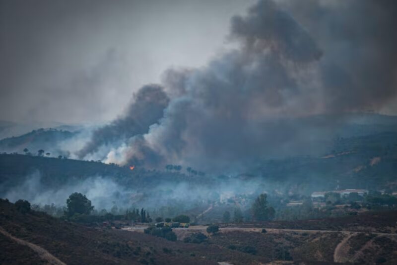 Incendios implacables en Europa: lluvia milagrosa da un respiro a Bélgica